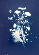 quadri andrea bertoletti spray su tela su carta fiori progetto api arredamento design ricerca installazione